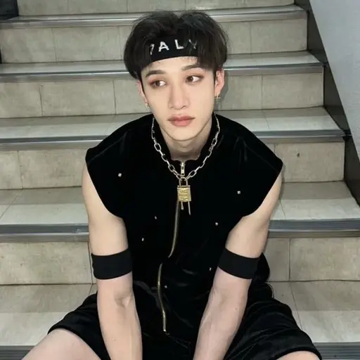 CloudyFox9635의 방찬