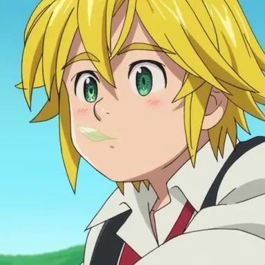 Profile image of Meliodas