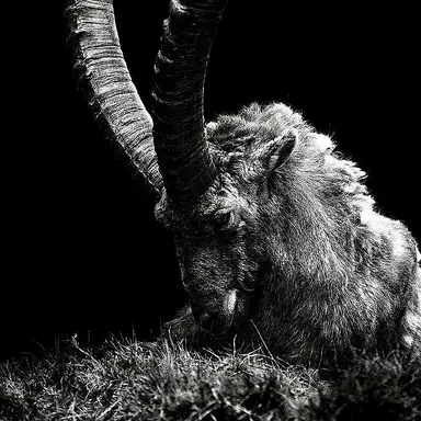 Profile image of 가르텐