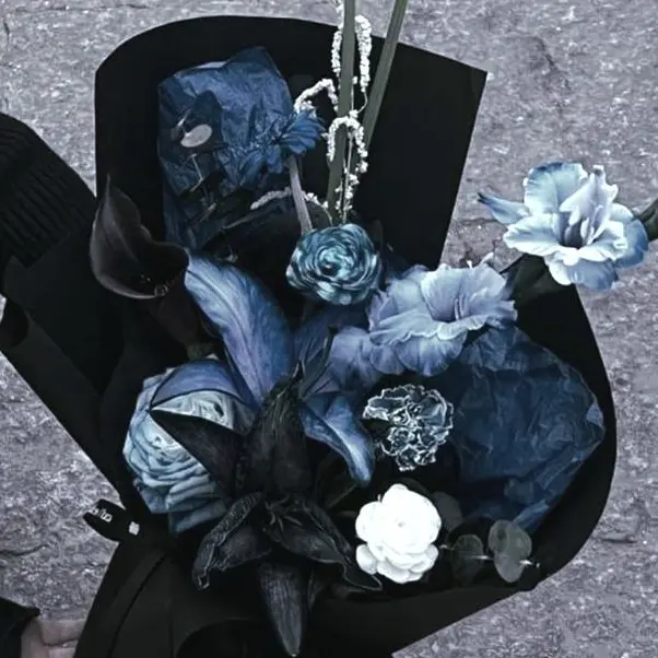 Bi_Pa의 스칼렛 하이리트