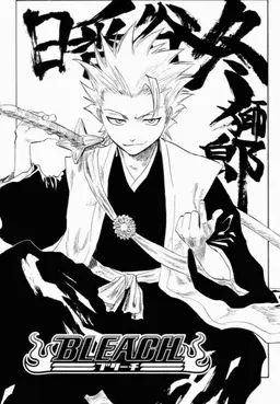 Profile image of 日番谷冬獅郎