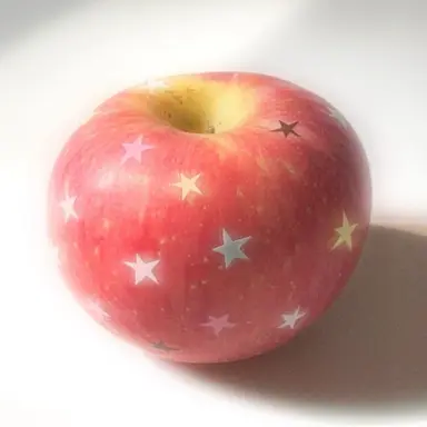 Profile image of 마플