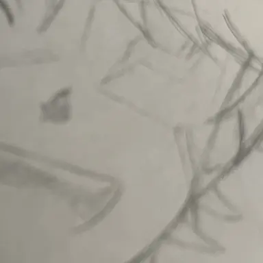 Profile image of たっつん