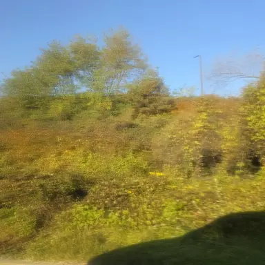 Profile image of 평학