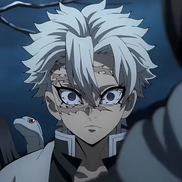 Dangoring의 시나즈가와 사네미