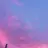 パラオ