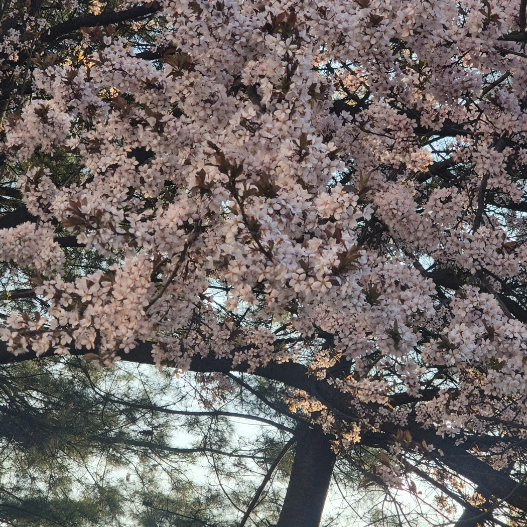 건후