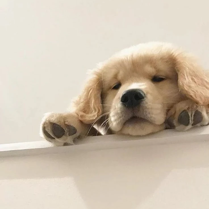 김승민