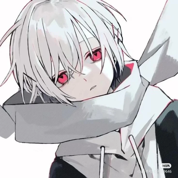 白兎
