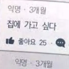 Fluffy4227의 집가고싶다