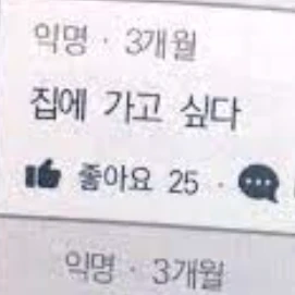 레이븐