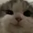 냥냥이