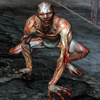 Profile image of Dan