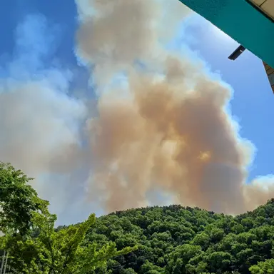 Profile image of 시안