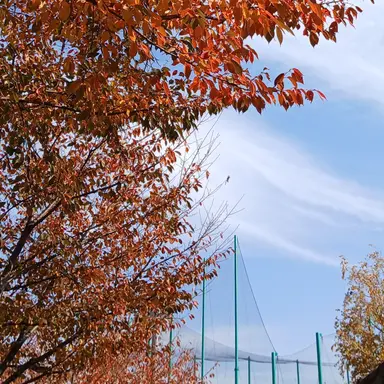 Profile image of 덕개