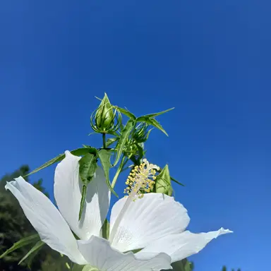 Profile image of 잠뜰