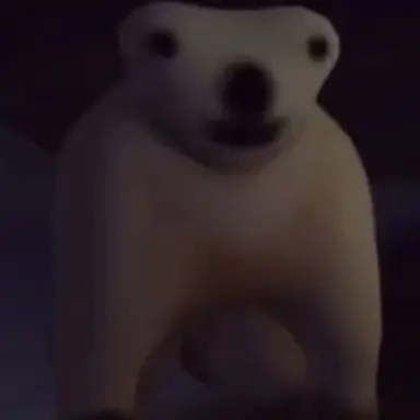 Profile image of 노멀 베어