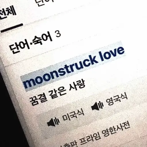 YellowFossa6776의 친오빠의 친구들
