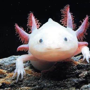 Profile image of 울동