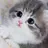 고ㅗㅗㅗㅗㅗㅗㅗ양이