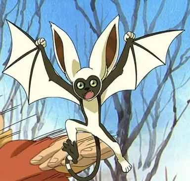 Profile image of Momo