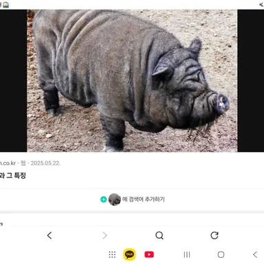 Profile image of 여우