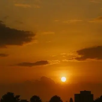 Profile image of 선생님