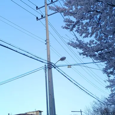 Profile image of 잠뜰