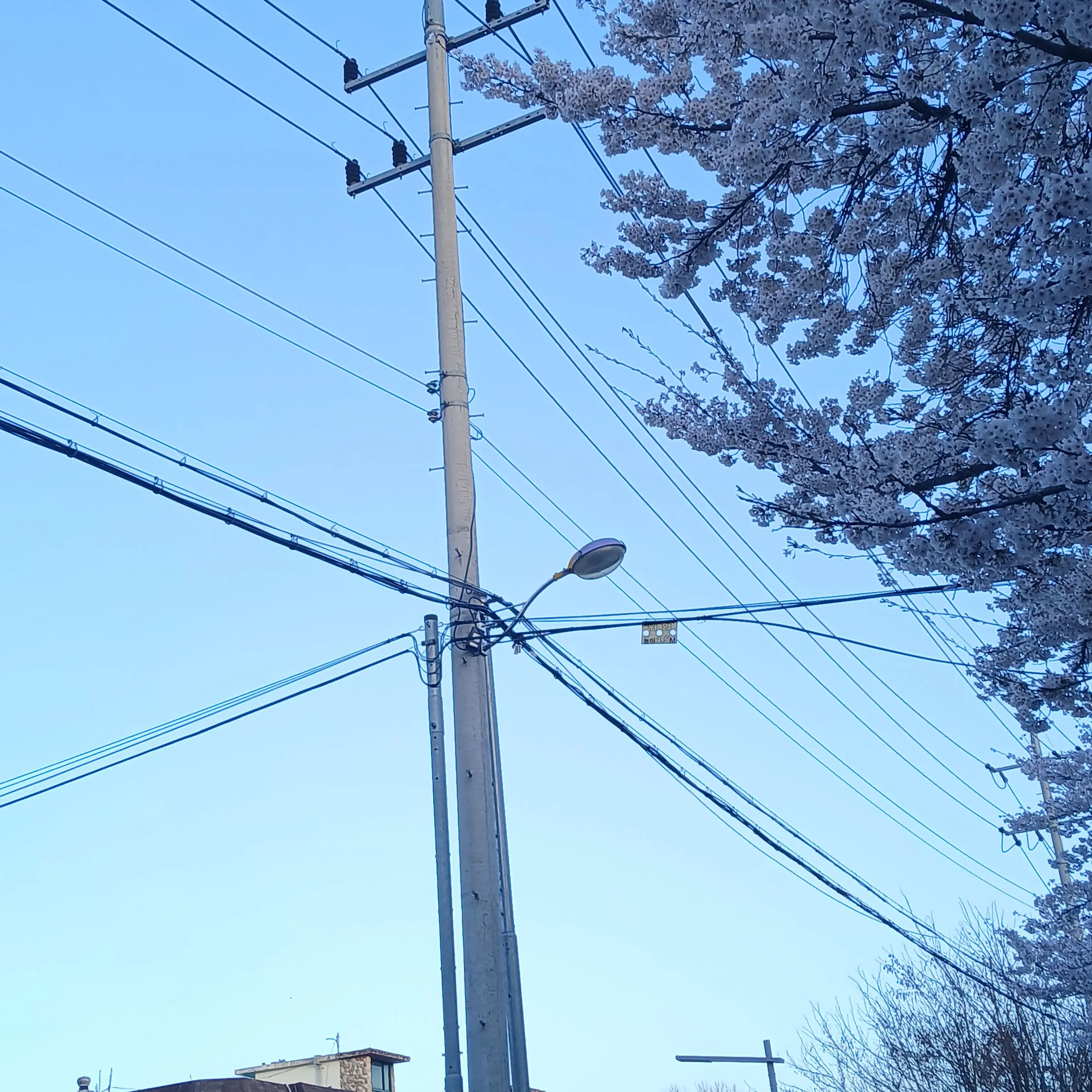 jawyun의 뜰팁 수학여행(여우+)