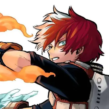 Profile image of Shoto Todoroki
