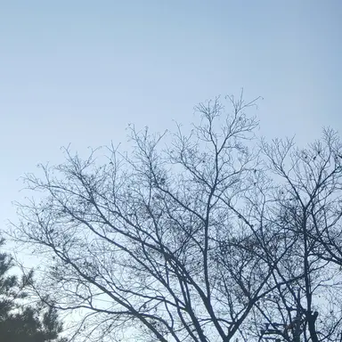 Profile image of 엑스트라