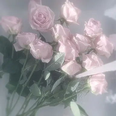 Profile image of 베로시카