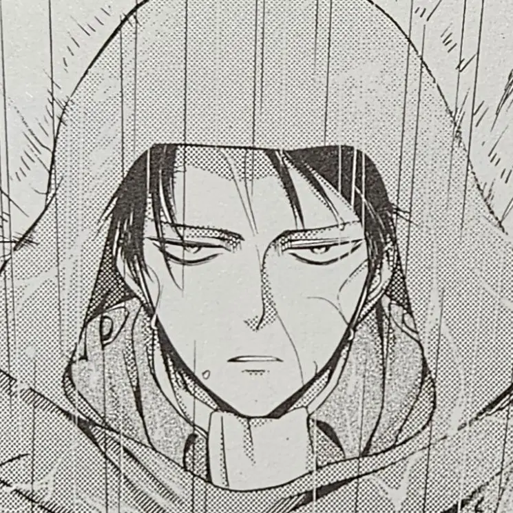 Levis_insole_thief의 리바이 이커만