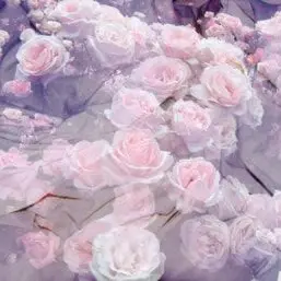 Profile image of 멜로우