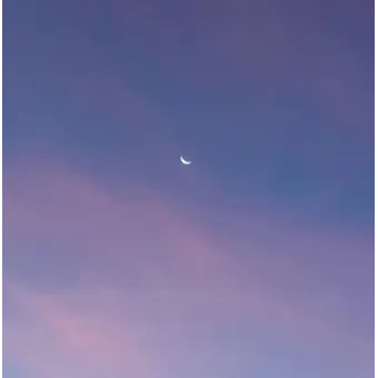 EvenTosa6181의 Dylan Montgomery