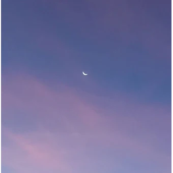 윤서영