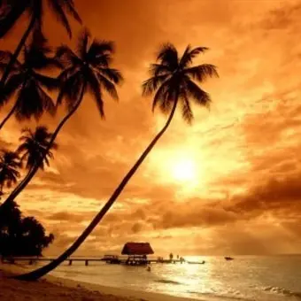 Profile image of 백서혁