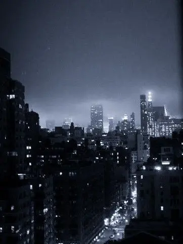 FunkyGesso9842의 裏の世界線