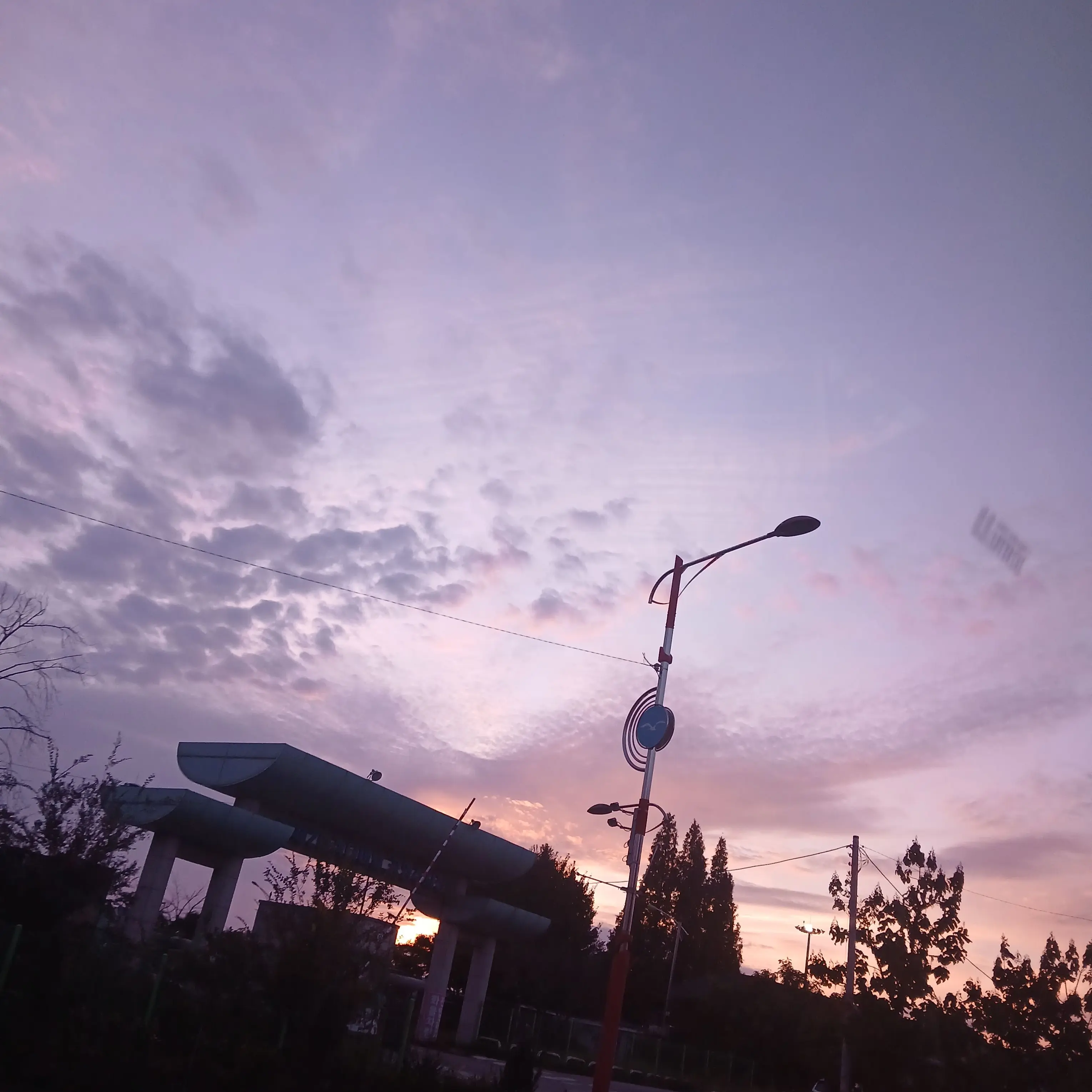 MistyCloth4435의 아이들