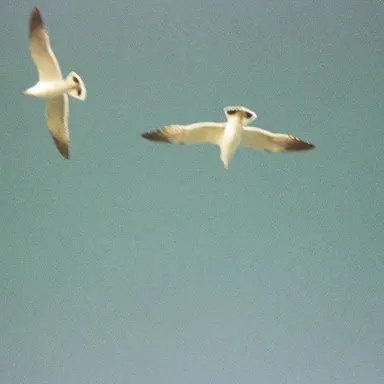 Profile image of 유지민