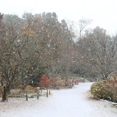 Profile image of 김민정