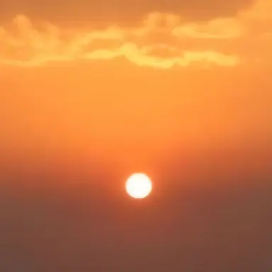 Profile image of 덕개