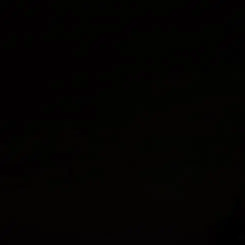 Y.4e_xo0n의 티격태격 동거일상로그