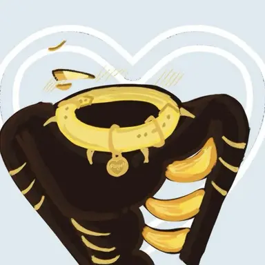Profile image of Regect