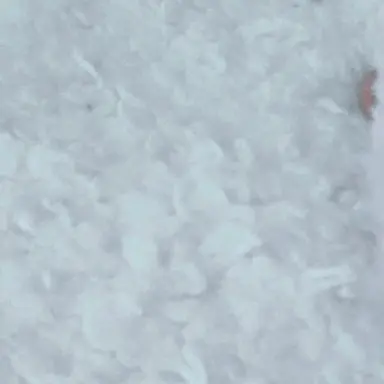 Profile image of 김윤태 크루