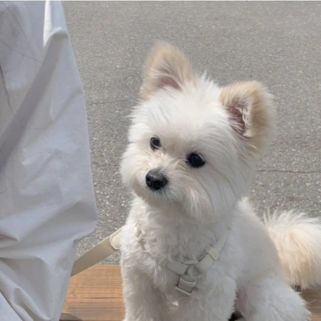 김승민