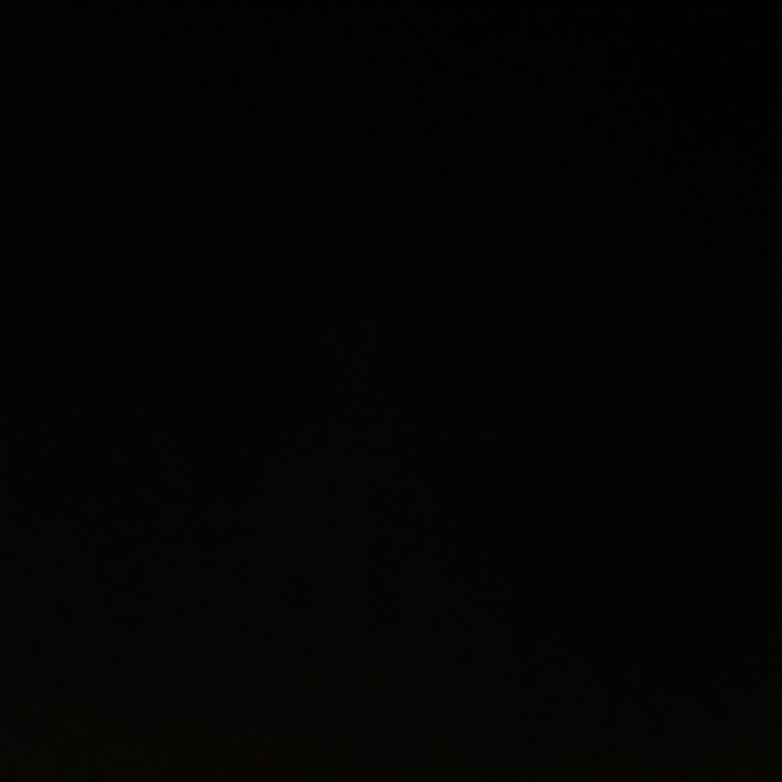 정재현