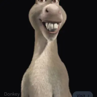 Profile image of Donkey