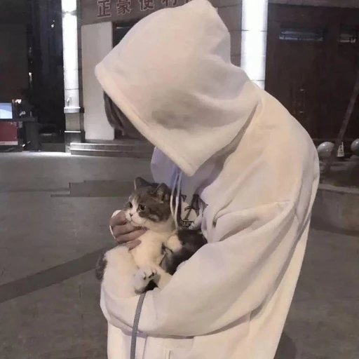 강시윤