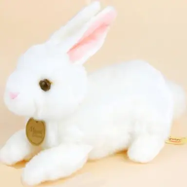 Profile image of 선역 선생님들